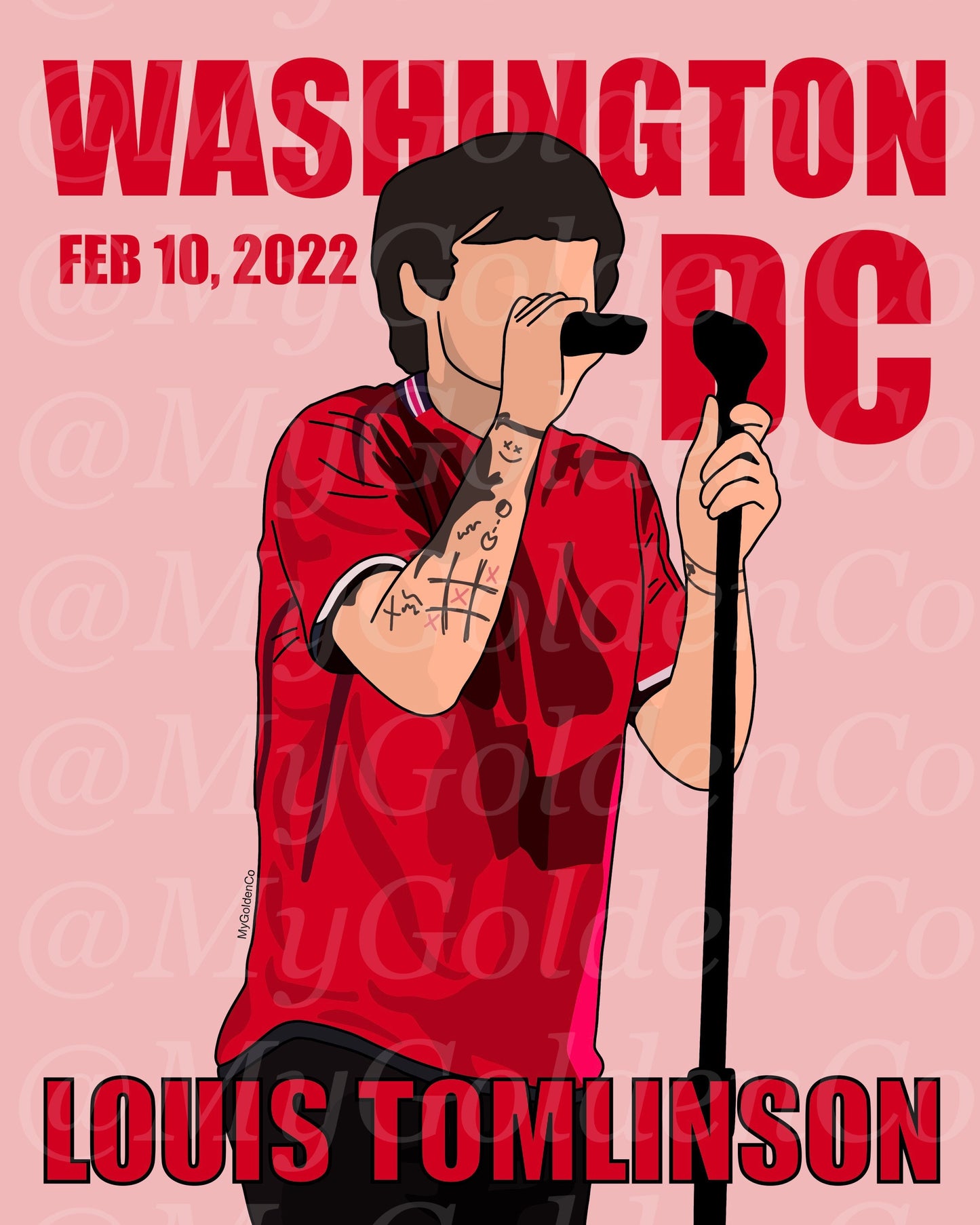 Washington DC LT World Tour Glossy Poster